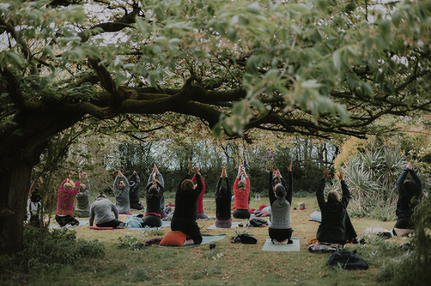 Yin Yang yoga con Molly