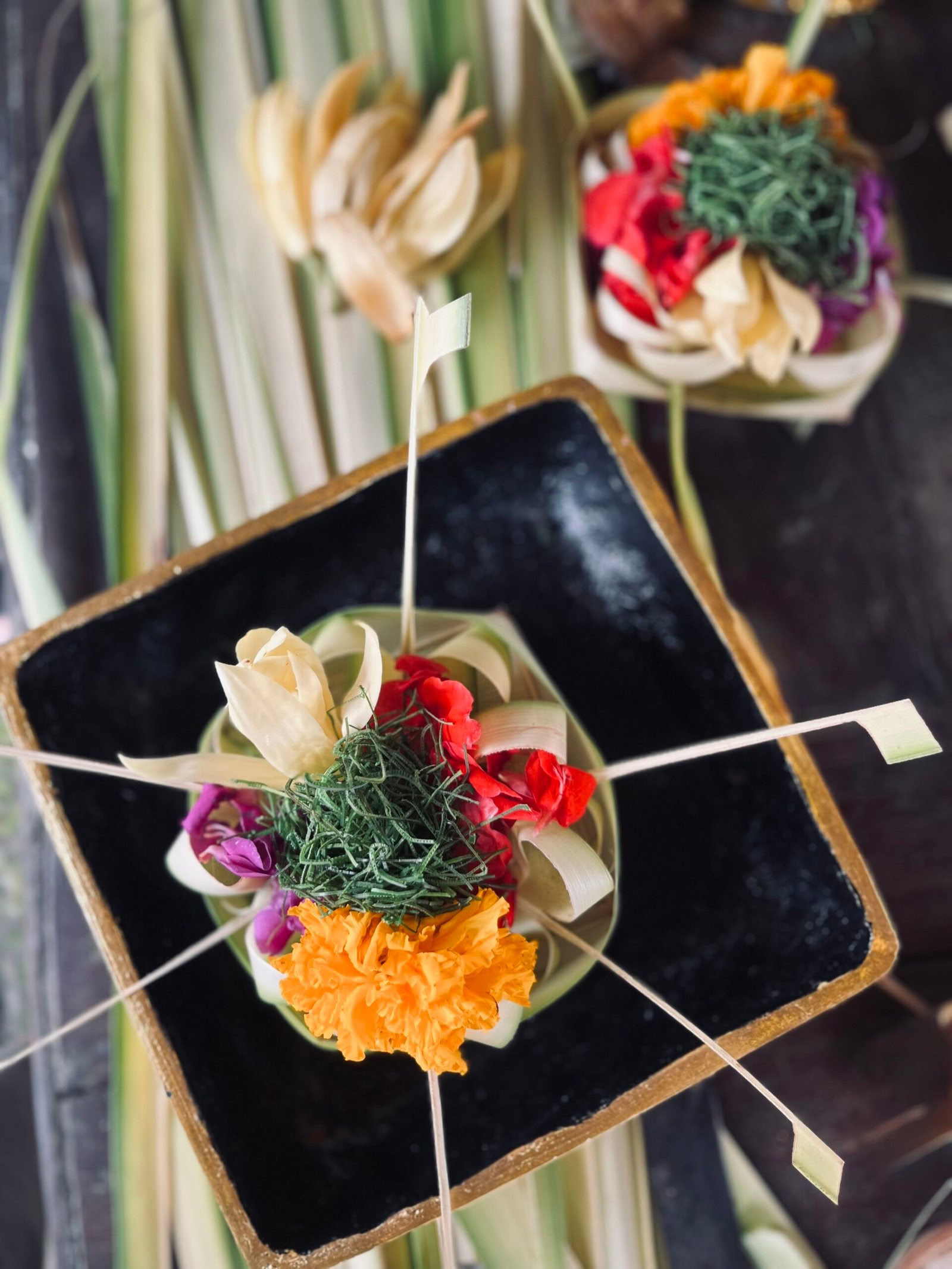 5 Días Balance Wellness Escape