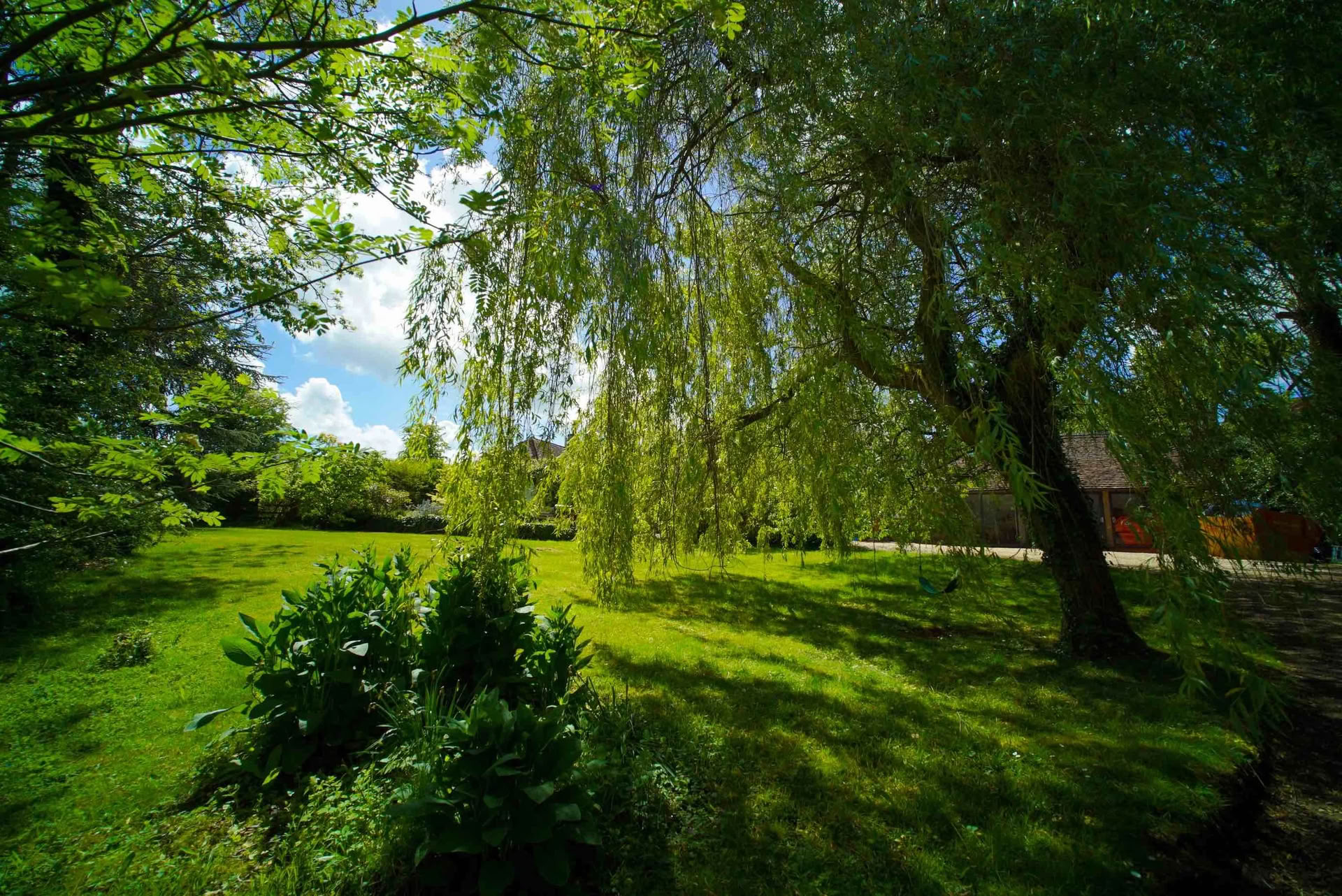 Creative Cooking, Conscious Eating and Yoga Retiro, Cotswolds, Oxfordshire