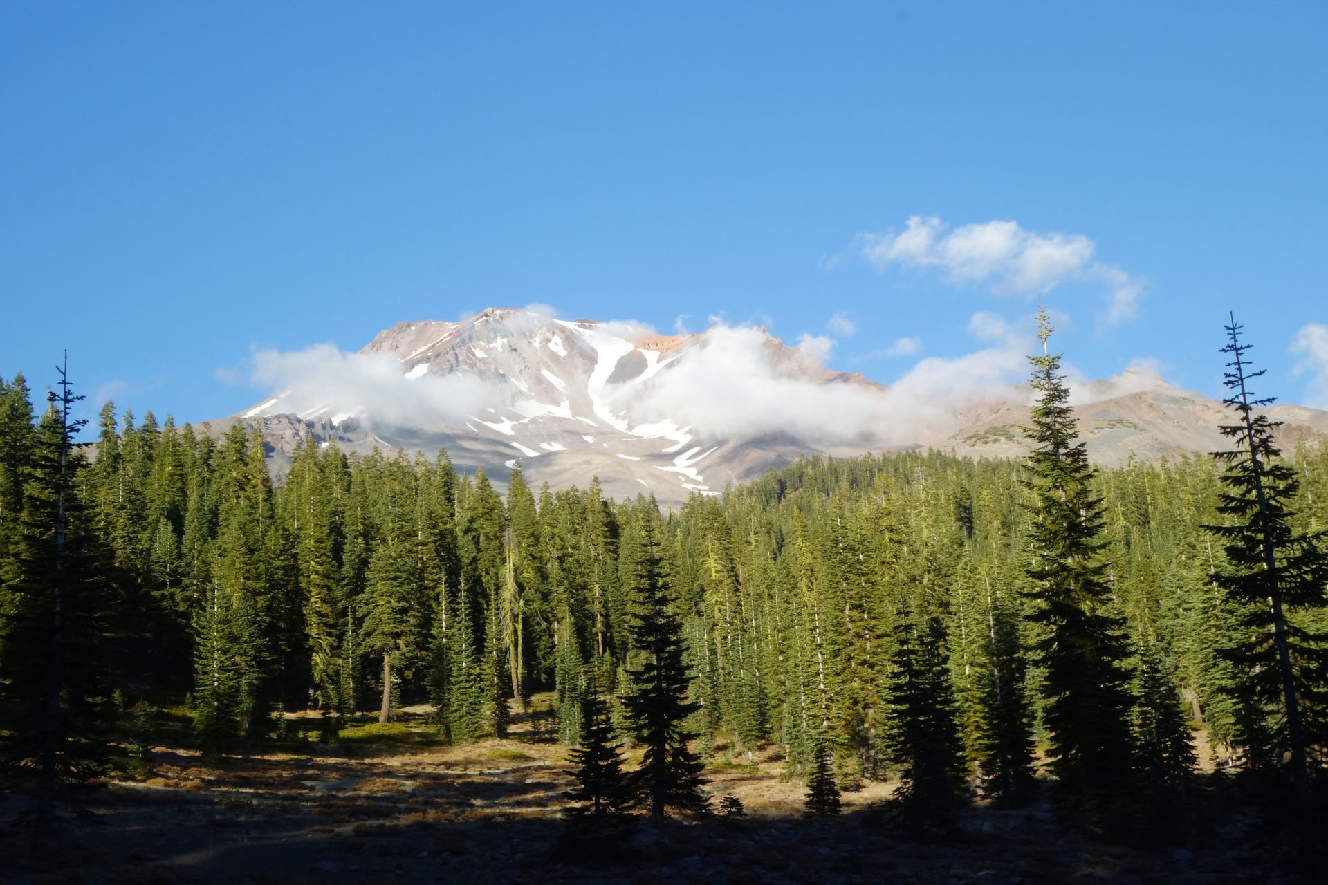Premium Mount Shasta Retiro