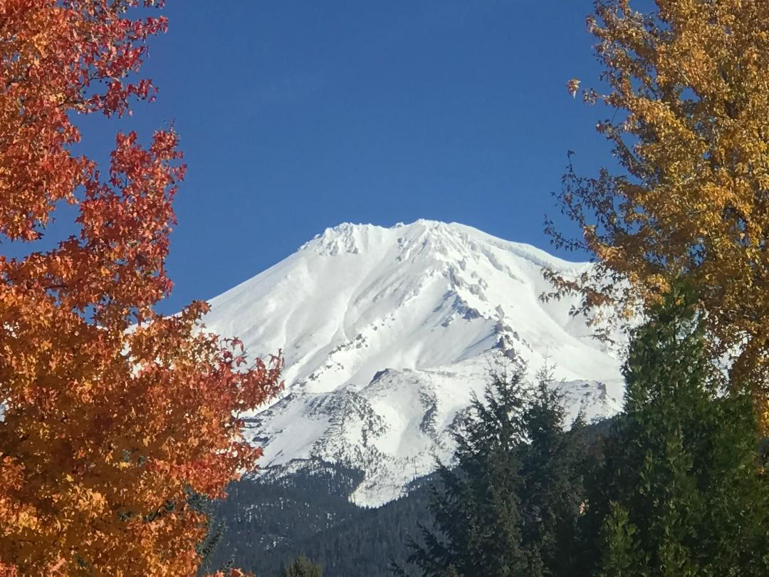 Tour del Equinoccio de Otoño - Viaje de Cosecha en Mount Shasta