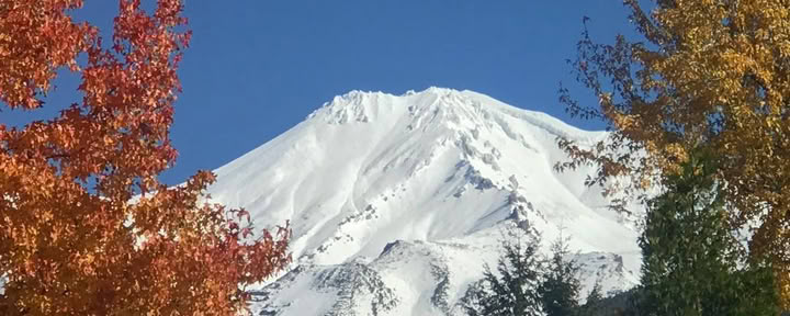Tour del Equinoccio de Otoño - Viaje de Cosecha en Mount Shasta