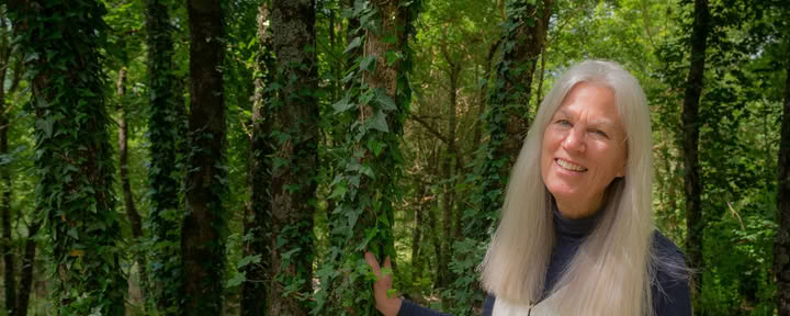 Kate Hawley - Reiki para la integración