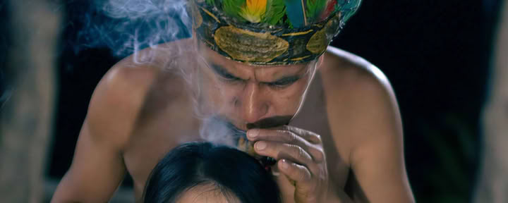 Ceremonia Curativa con Ayahuasca