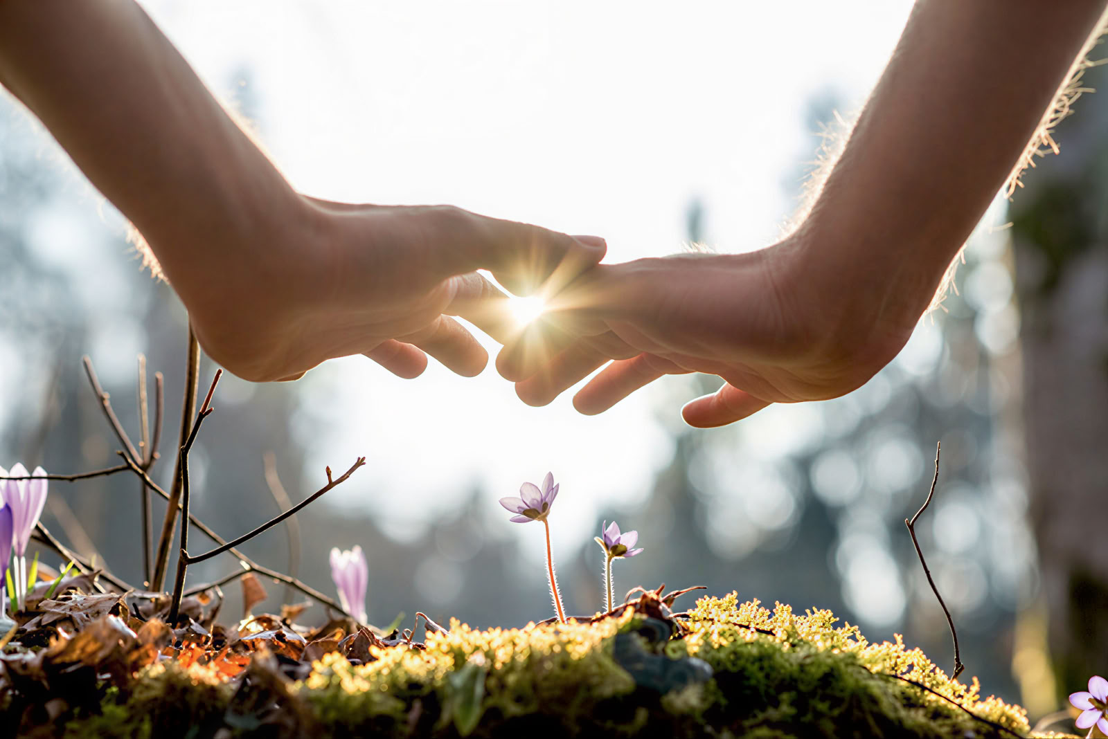 Panchakarma · Retiros de Ayurveda de 7–14 días