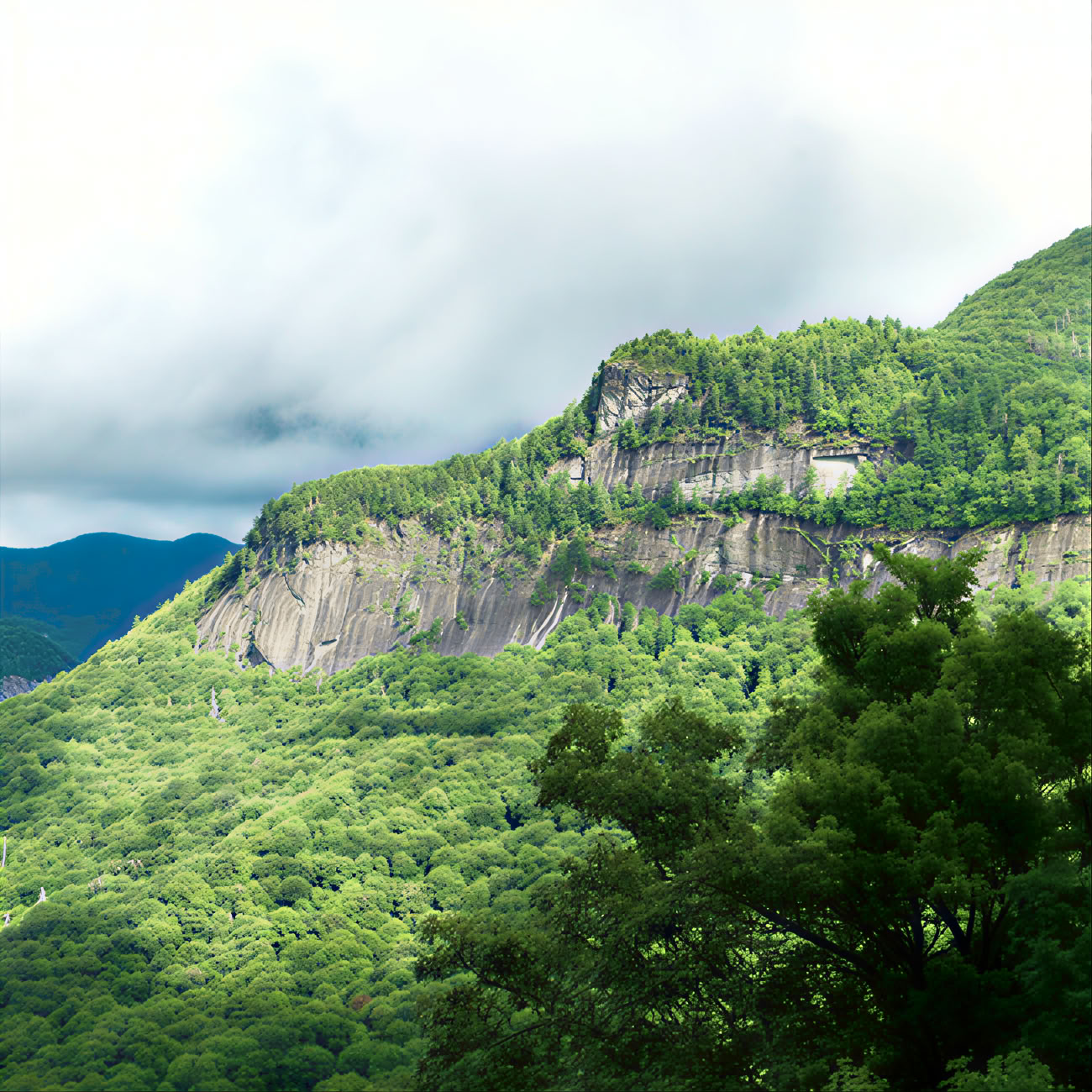 Sendero hasta la cima de Whiteside Mountain, Carolina del Norte