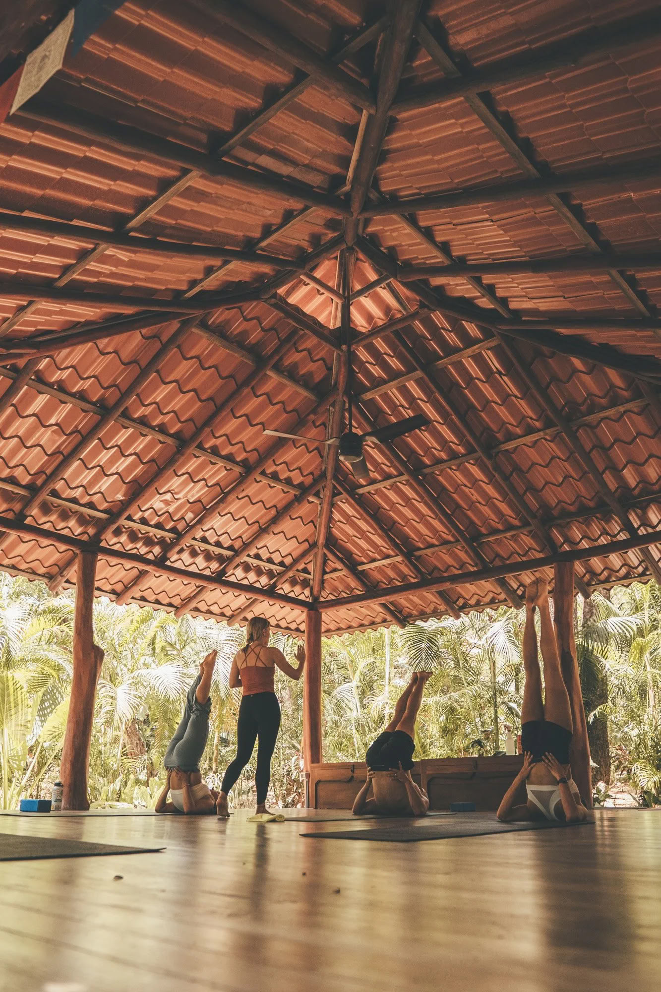 Yoga diario