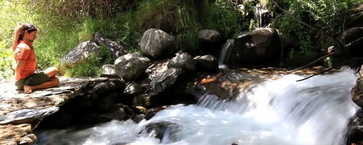 Yoga & Nature Immersion Retiro - Spain