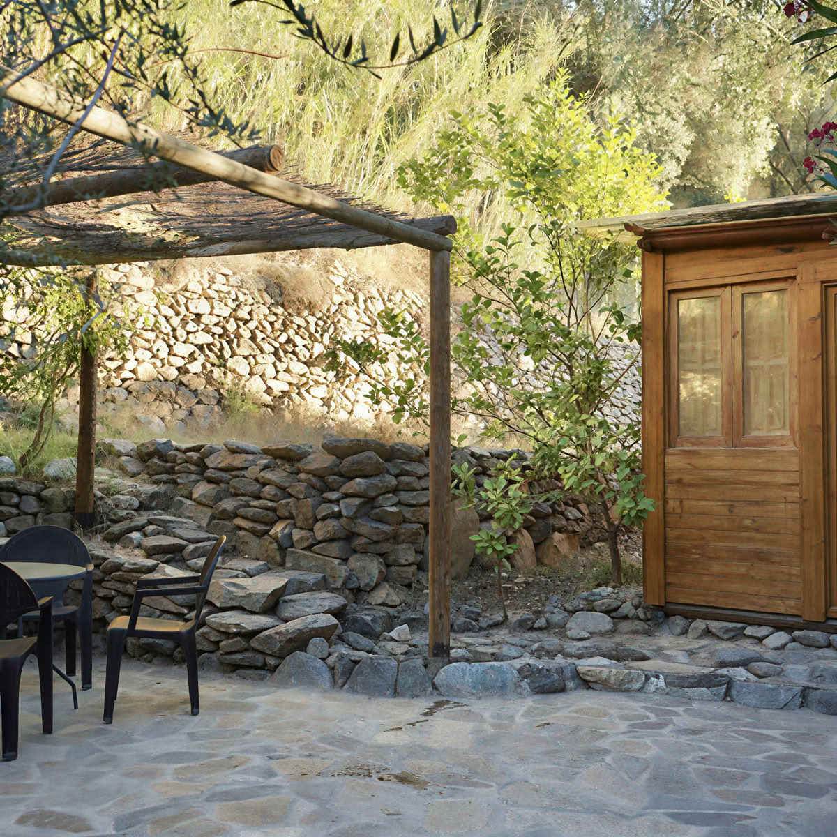 Retiro de breathwork y medicina de plantas