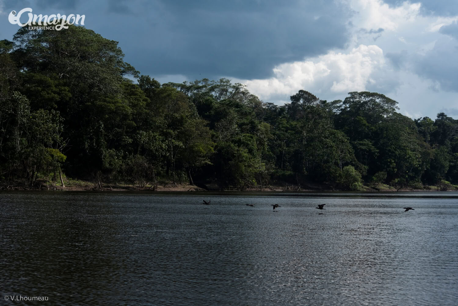 3 Days 2 Nights on Pacaya Samiria National Reserve