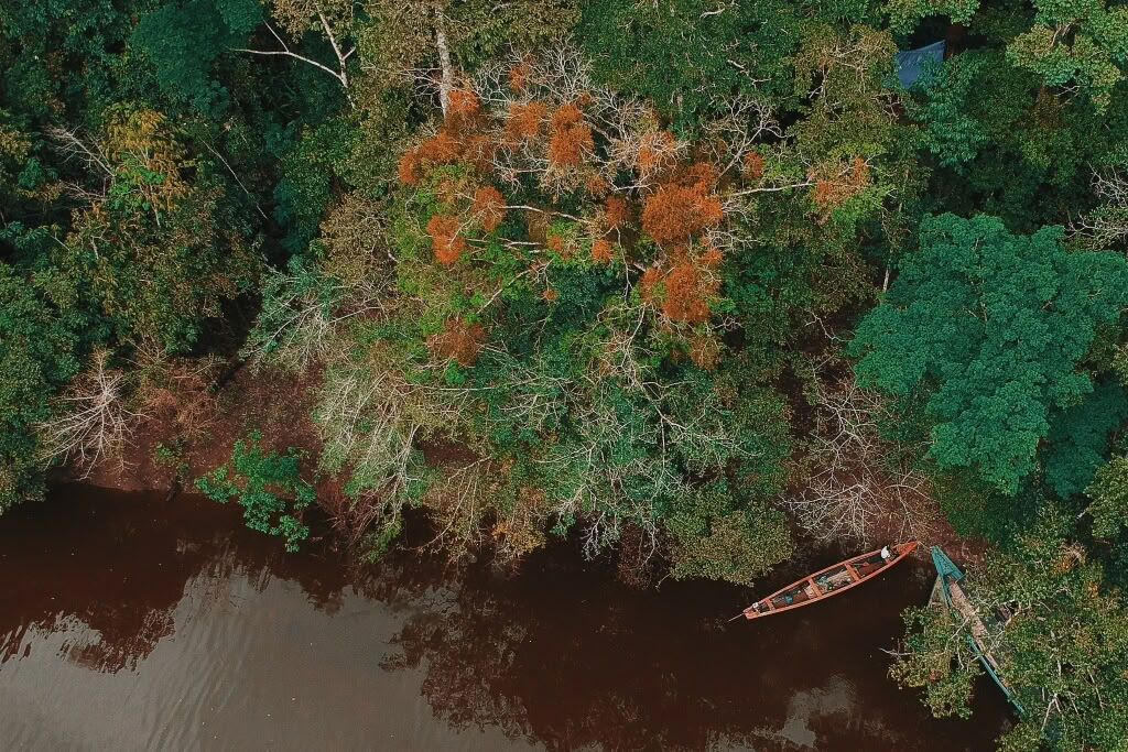 3 Days 2 Nights on Pacaya Samiria National Reserve