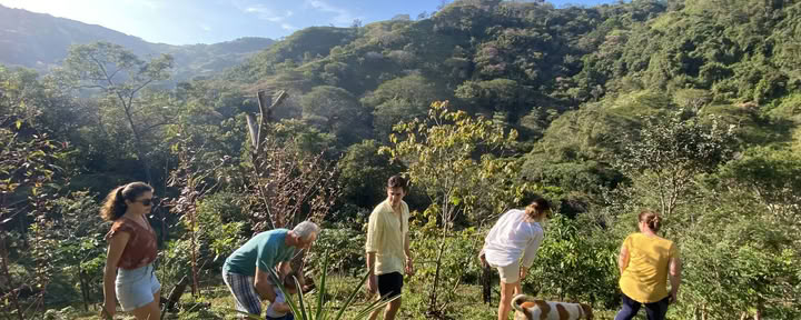 Retiro de inmersión auténtica en la naturaleza