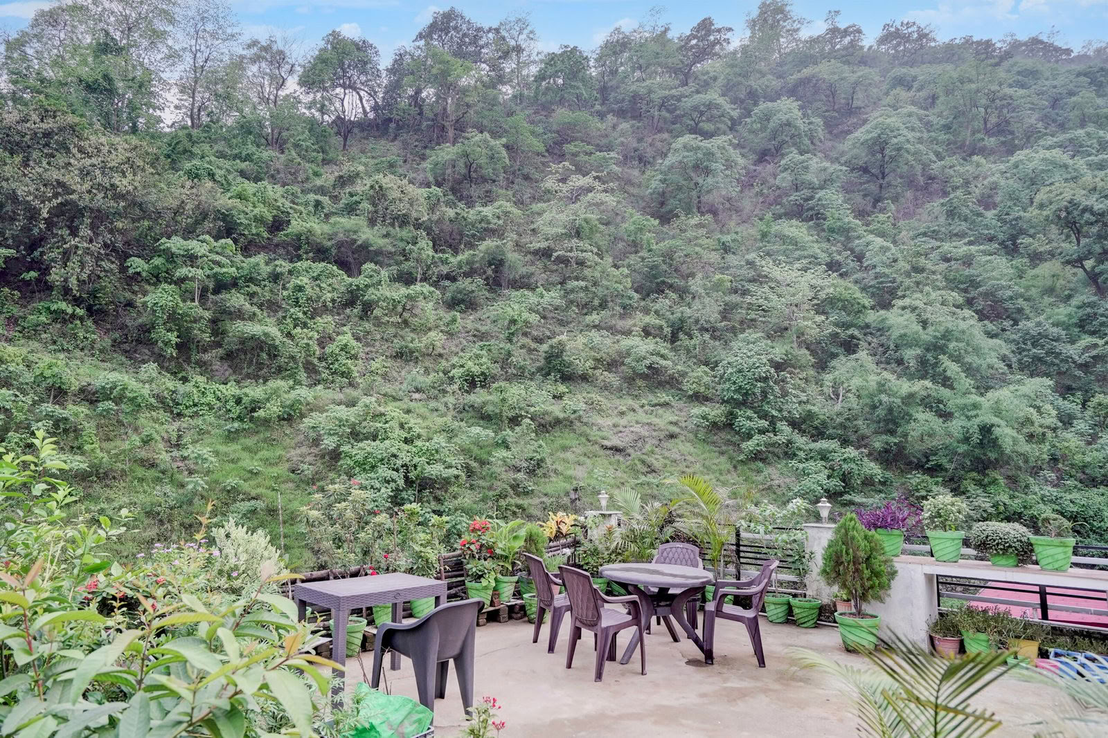 Retiro Detox en Rishikesh