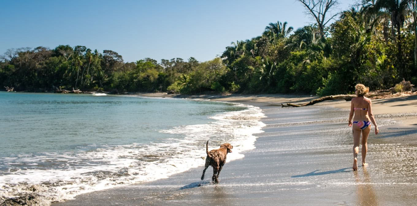 Re-Wilding: Un retiro para mujeres en Costa Rica con Shelia