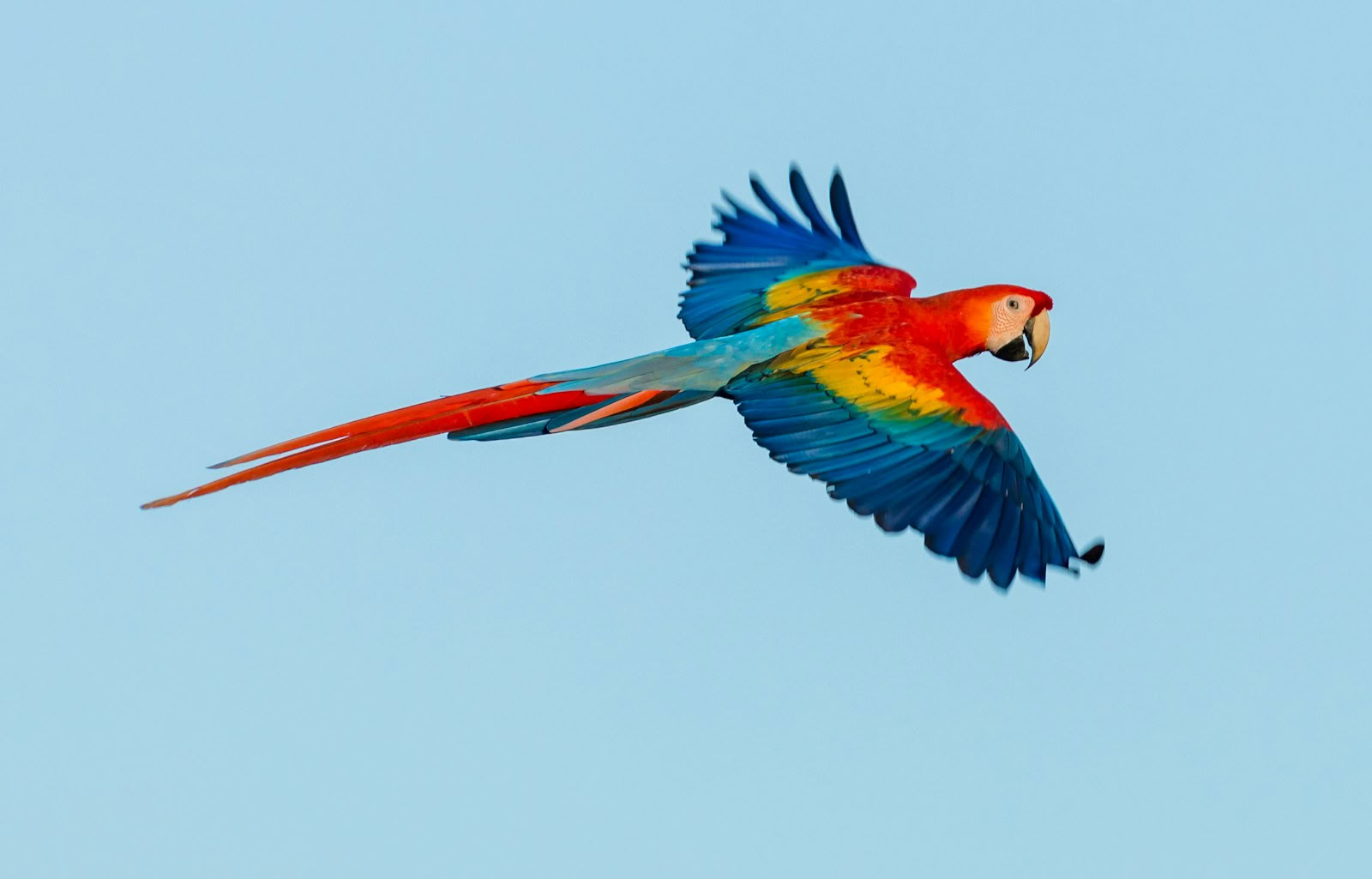 Yoga Retiro for Burnout: Reconnect and Recharge at Blue Osa Costa Rica
