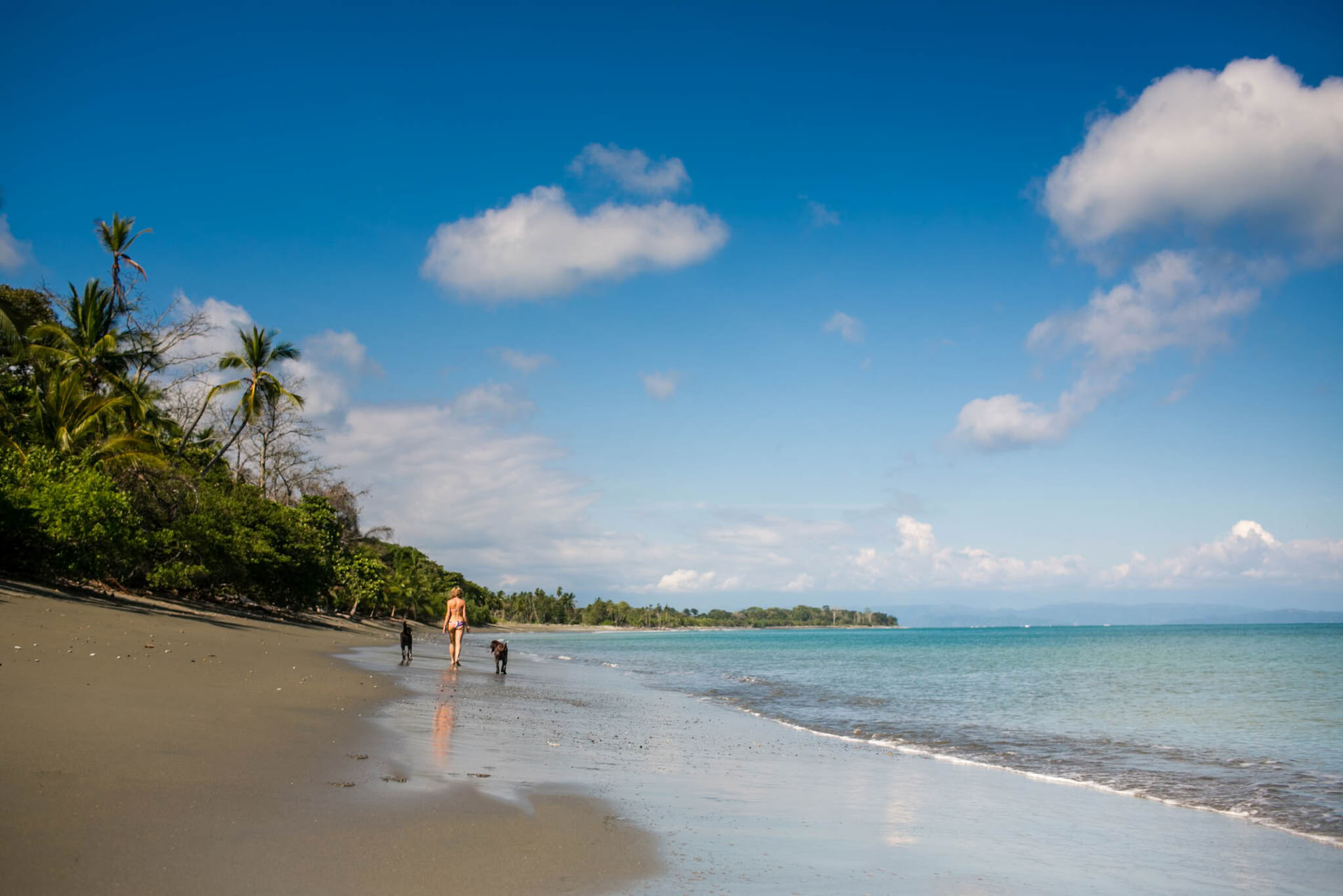 Soft Wisdom: Retiro de yoga y meditación en Costa Rica en 2027