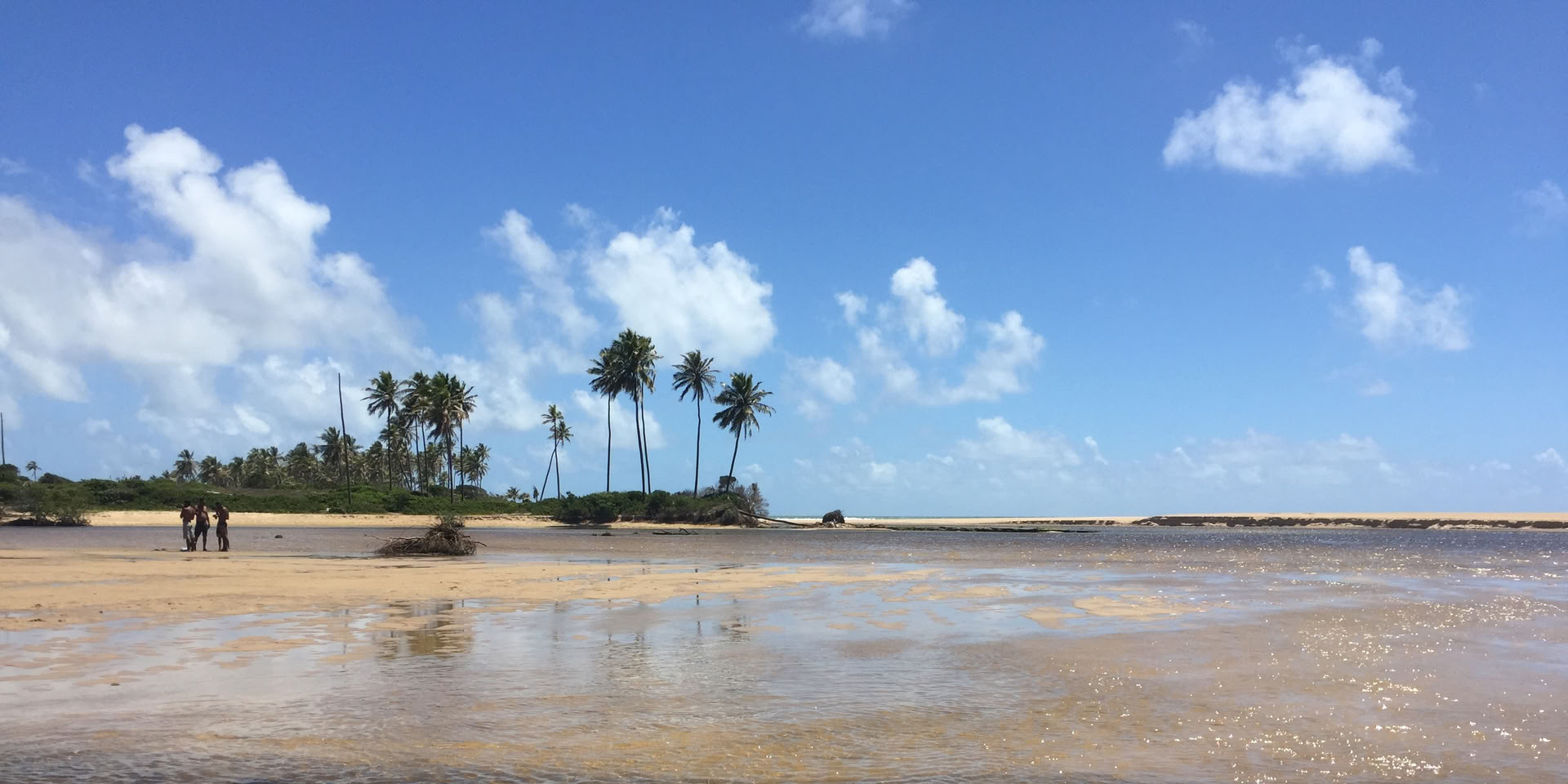 Circuit de la côte nord, Costa de los cocoteros