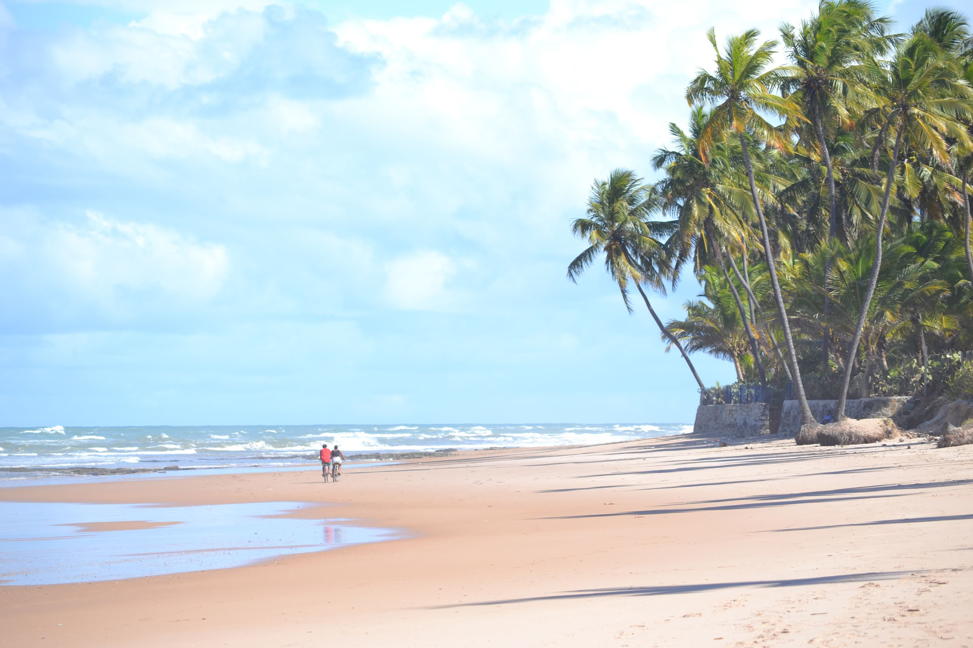 Campamento de Surf de 7 Días