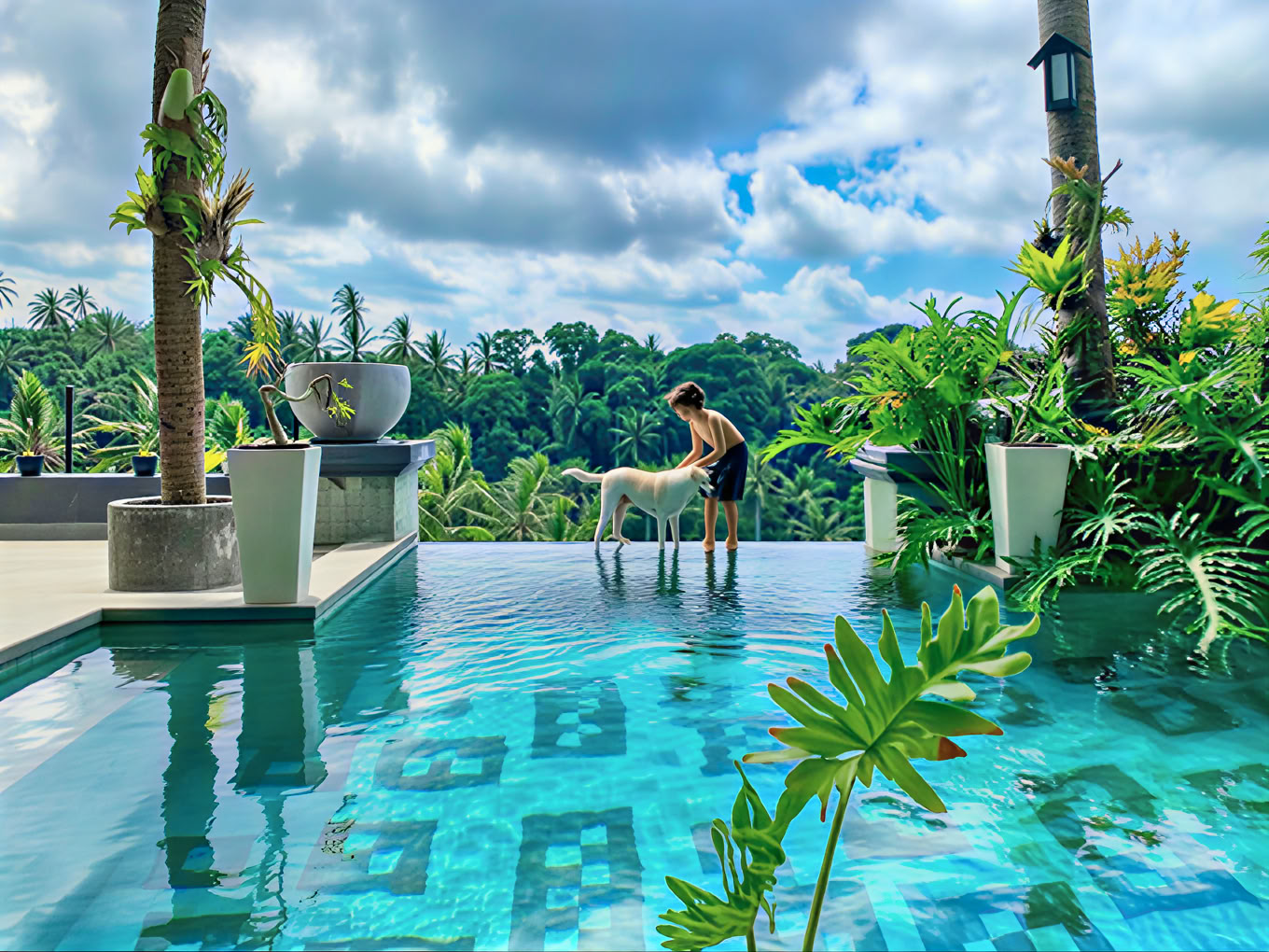 Bali Bliss Retiro