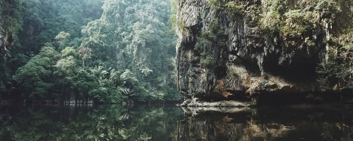 Retiro de Ayahuasca de 11 días