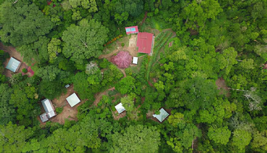 Retiro de Ayahuasca de Fin de Semana