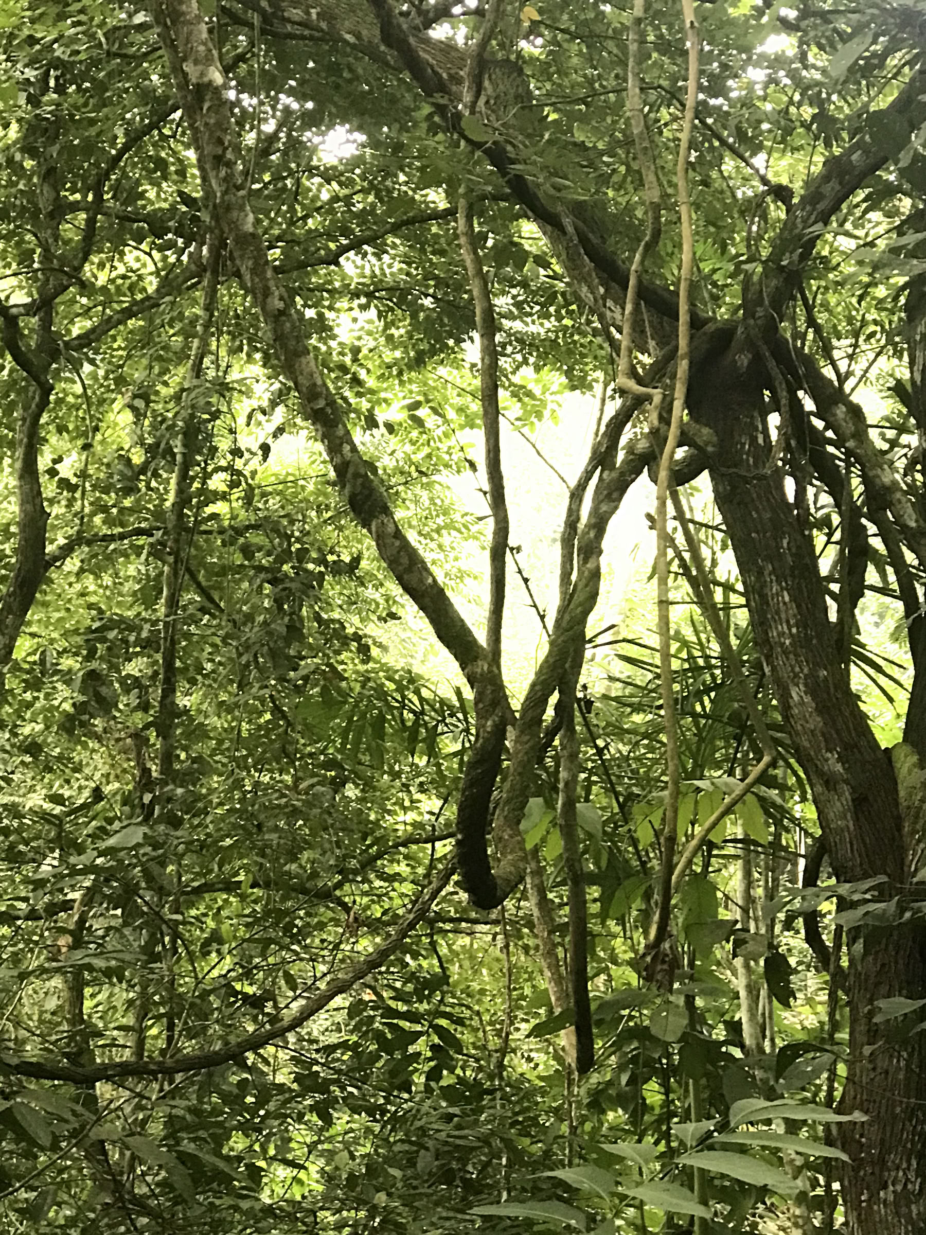 Retiro de Fin de Semana