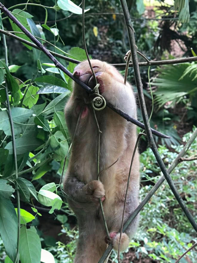 Retiro de Fin de Semana