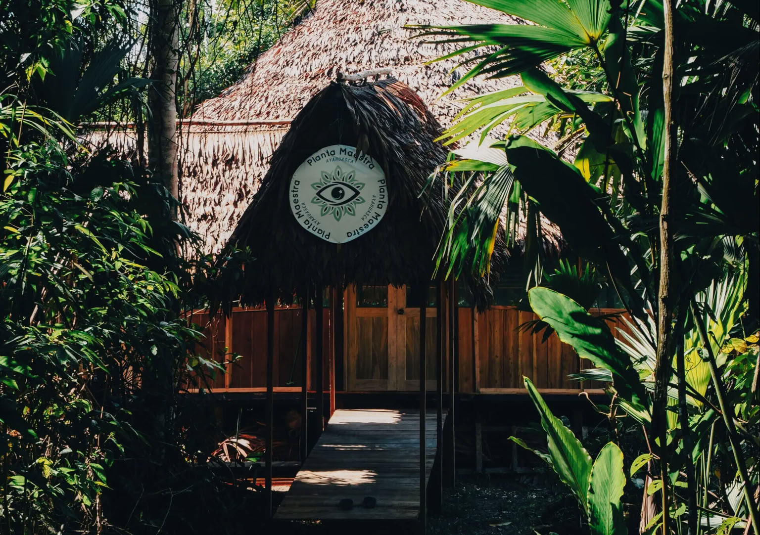 Iniciación de Ayahuasca de 7 días
