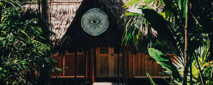 Iniciación de Ayahuasca de 7 días