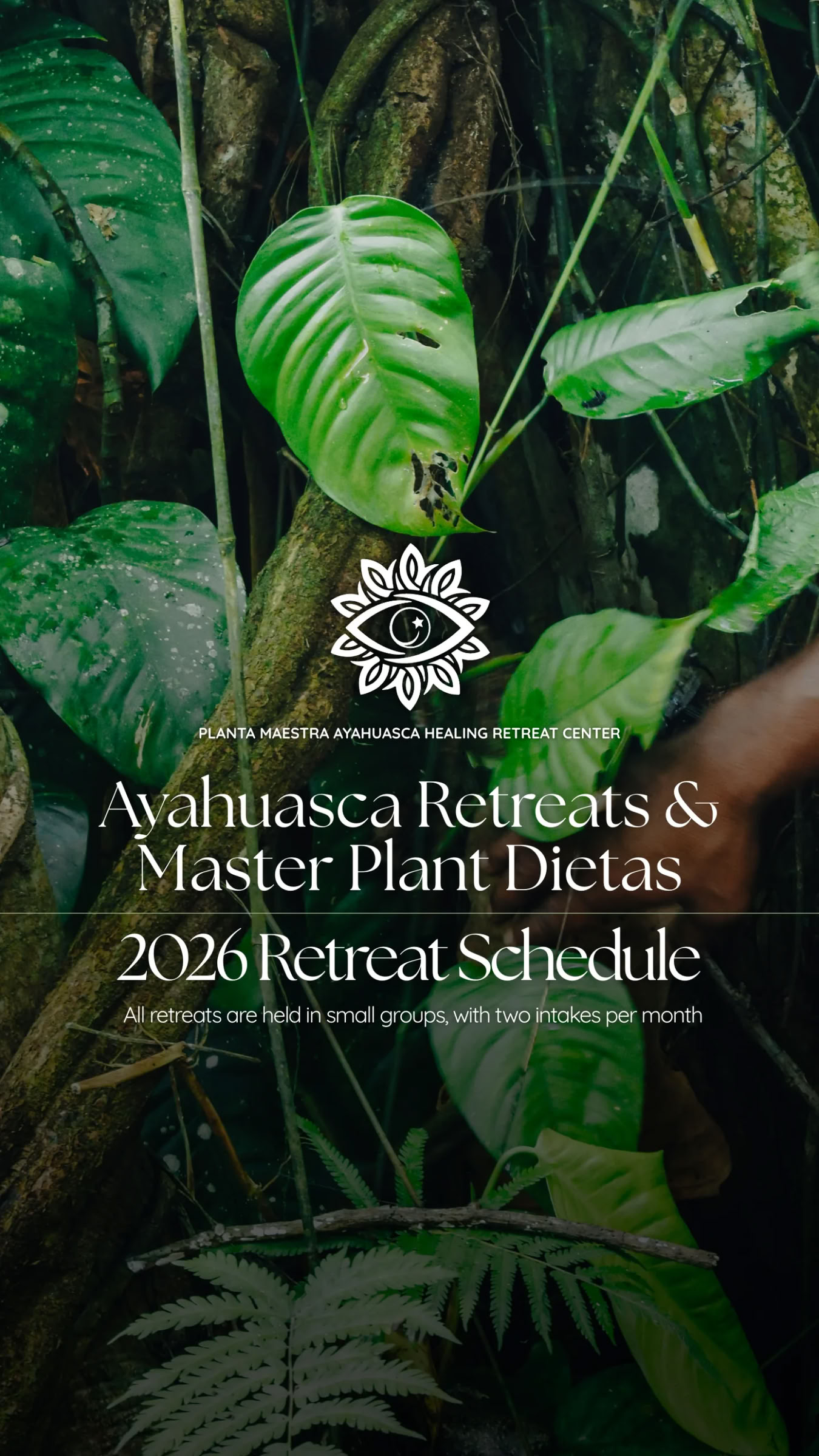 10 días de viaje de ayahuasca + dieta de plantas maestras