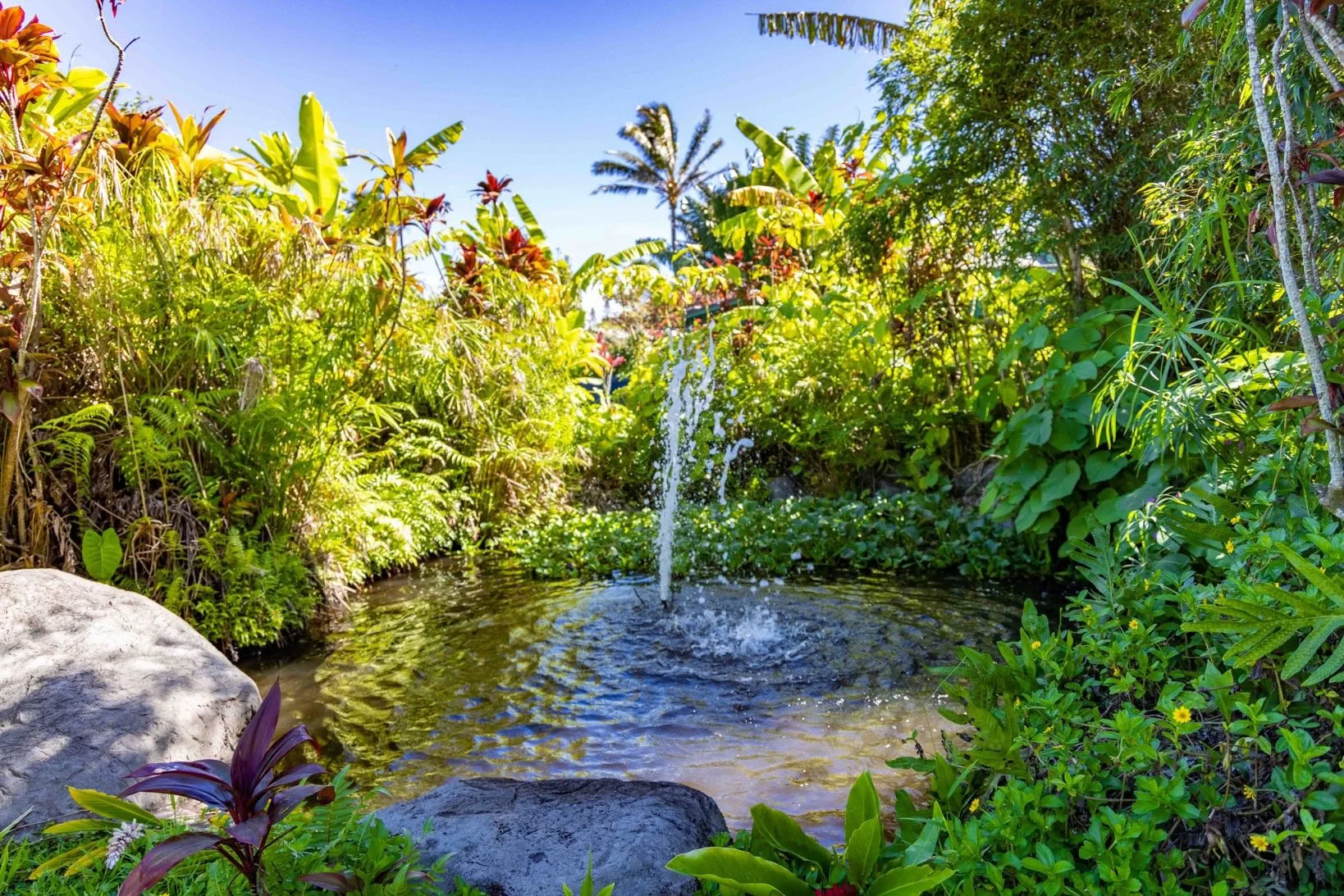 Get Your Sh*t Together Retiro - Maui