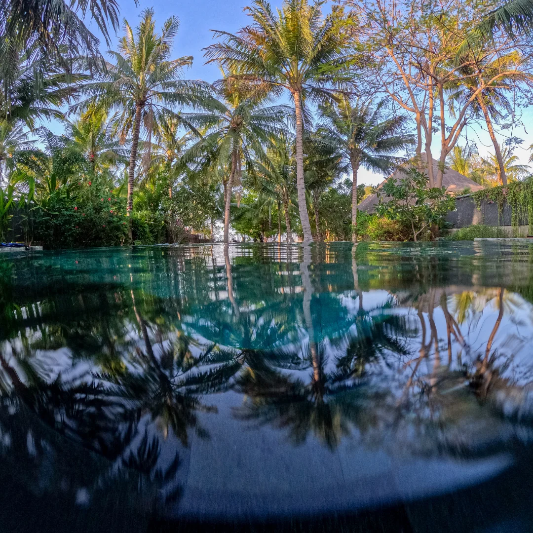 DIVE + REVIVE + THRIVE | BUCEO LIBRE | RESPIRACIÓN | MENTALIDAD
