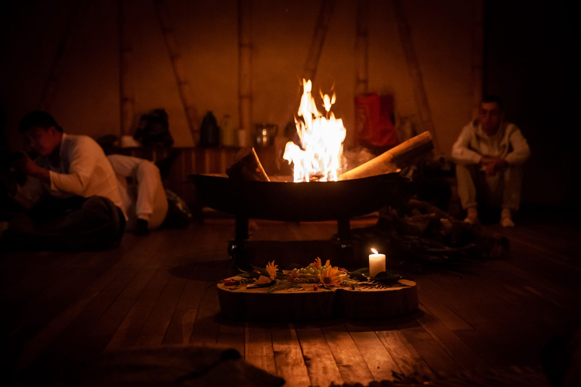 Ayahuasca & Viaje Somático