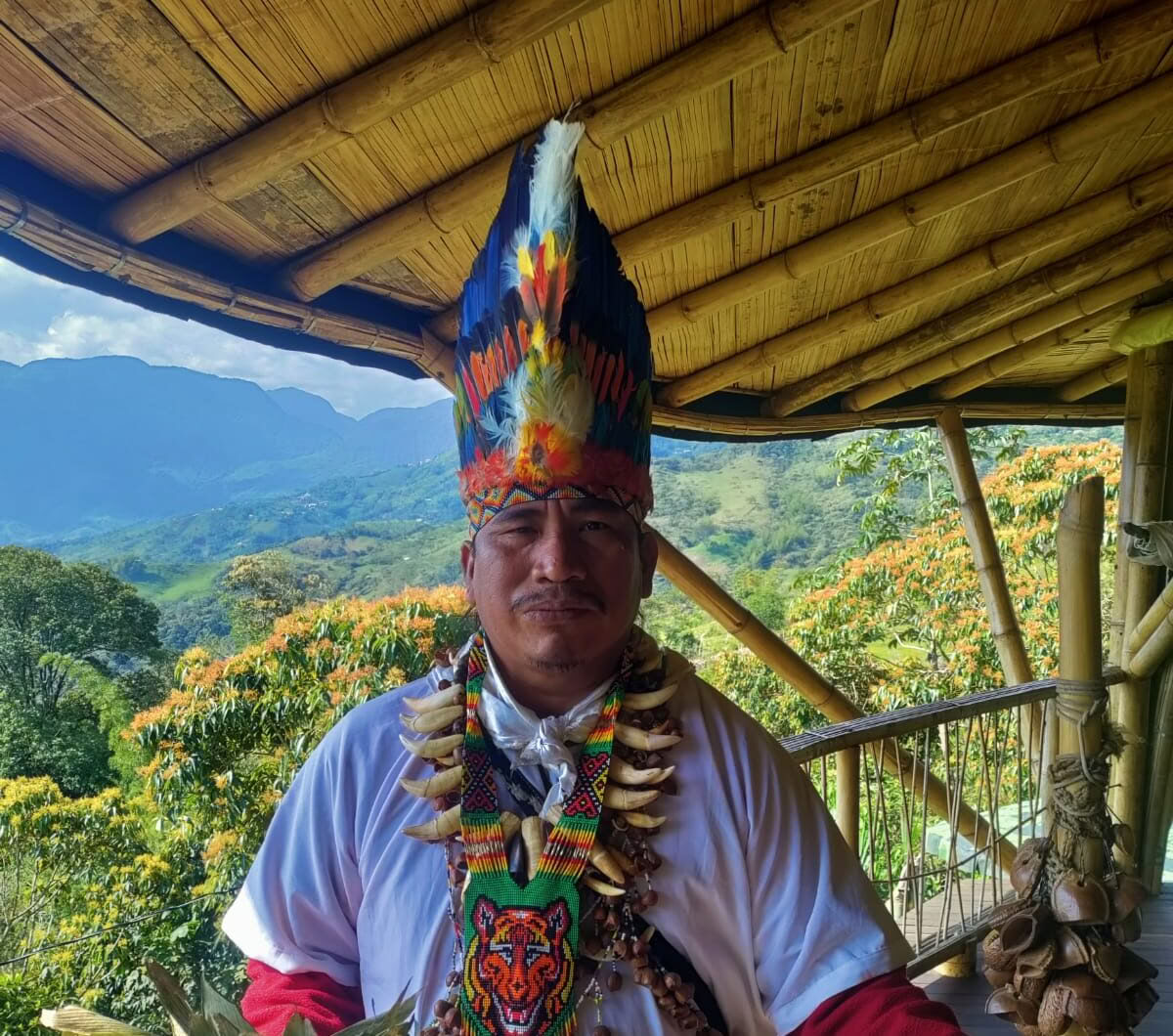 Ayahuasca & Viaje Somático
