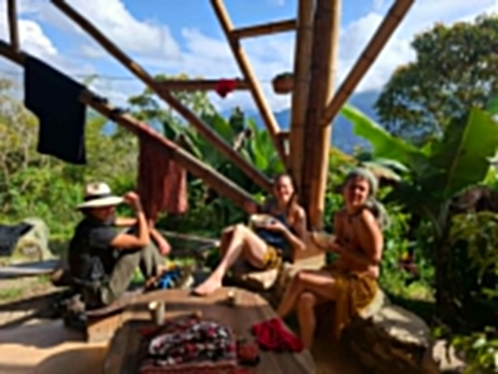 Ayahuasca & Viaje Somático