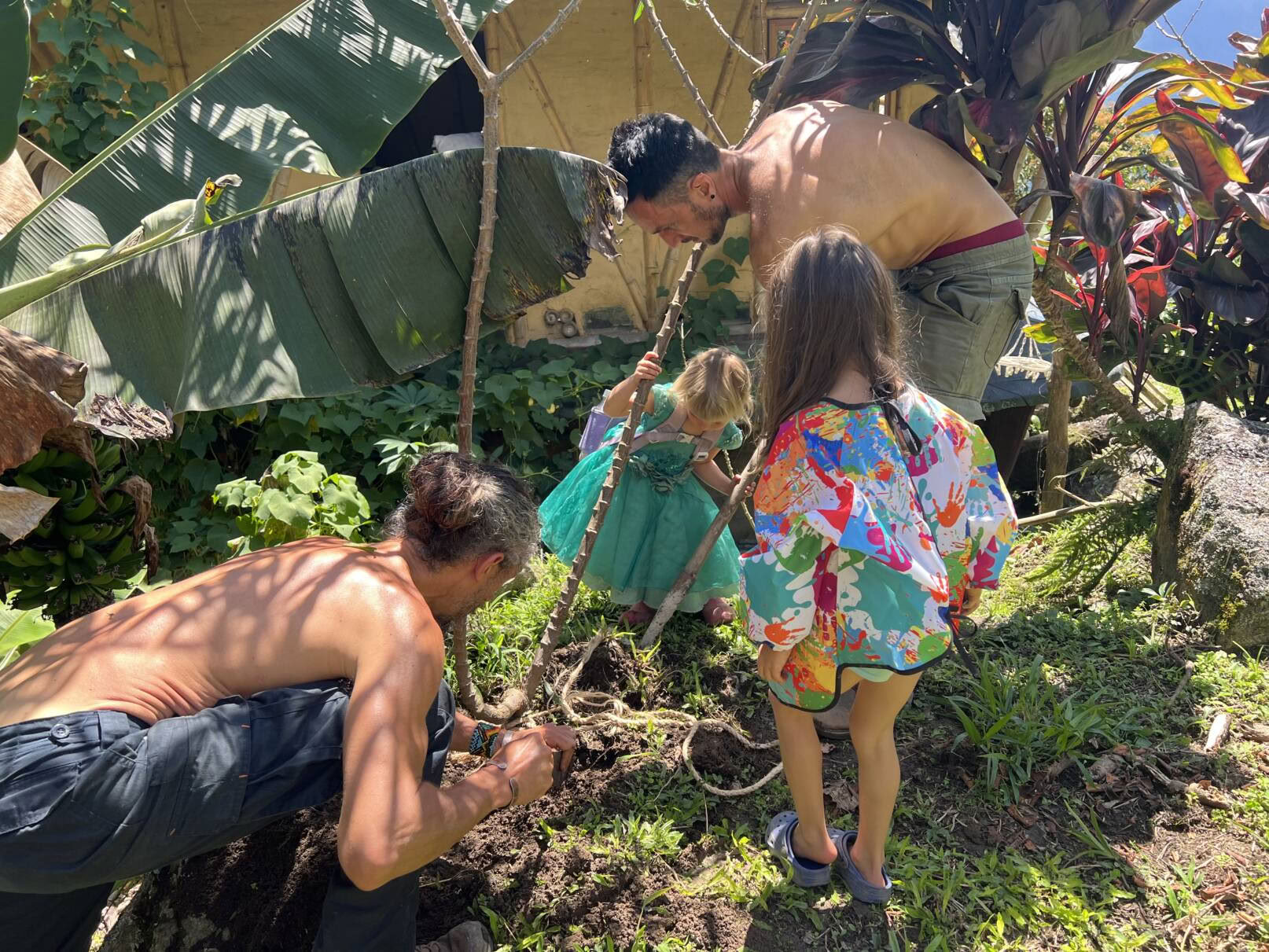 Ayahuasca & Viaje Somático