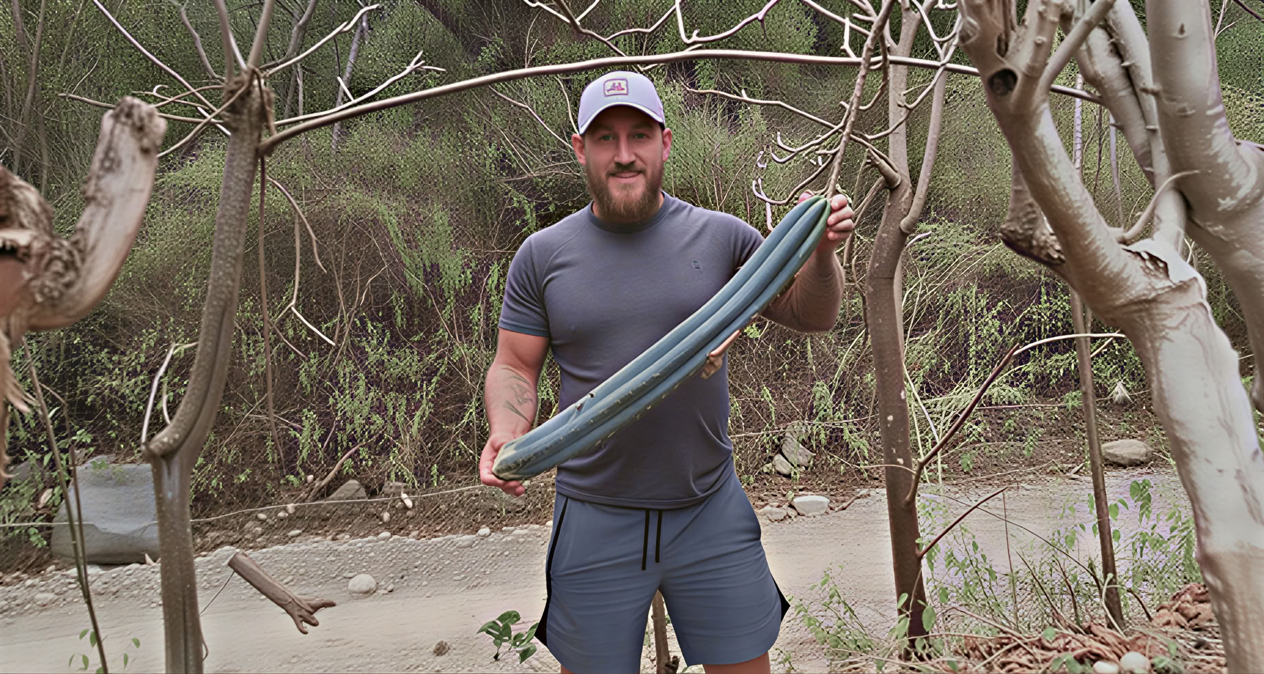 Entrenamiento Chamánico de Ayahuasca – 40 días