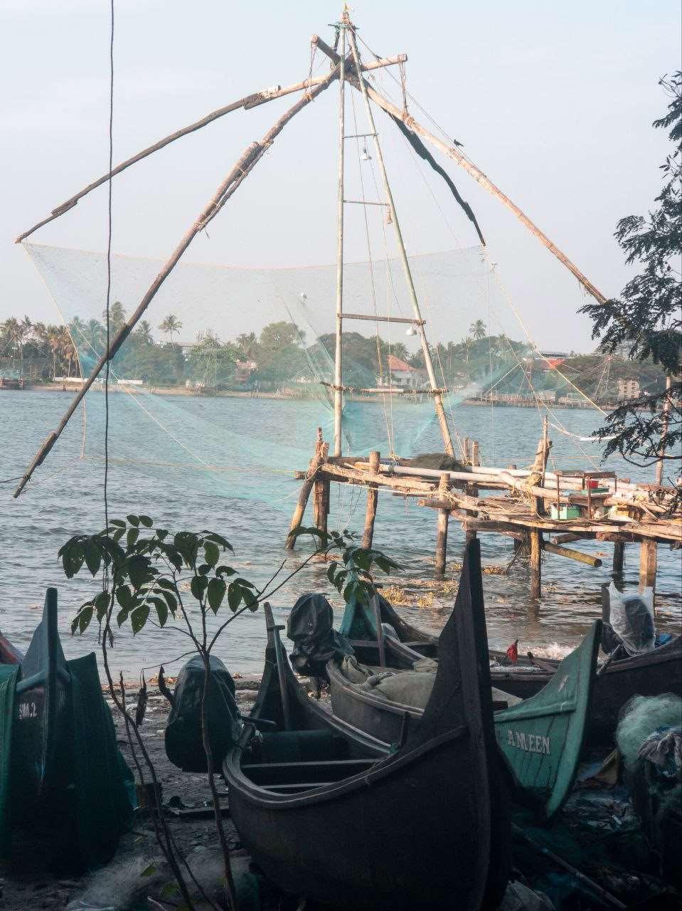 Ultimate Ayurvedic Detox | Un viaje de sanación y renovación en Kerala