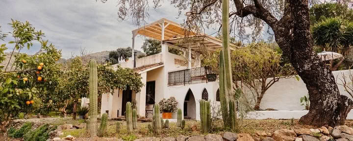 Retiro de yoga chamánico