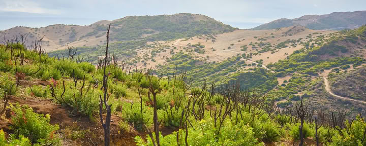 Habitaciones del Retiro de Yoga y Safari en Kenia
