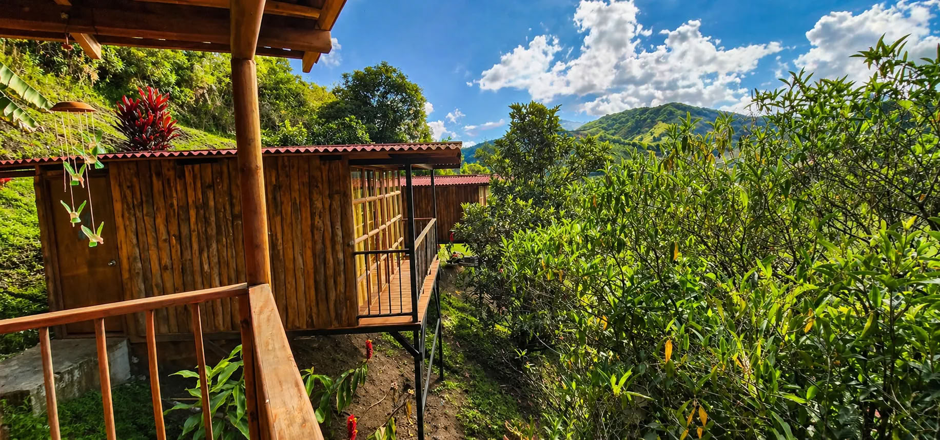 Retiro de Ayahuasca de septiembre de 2026 en Medellín