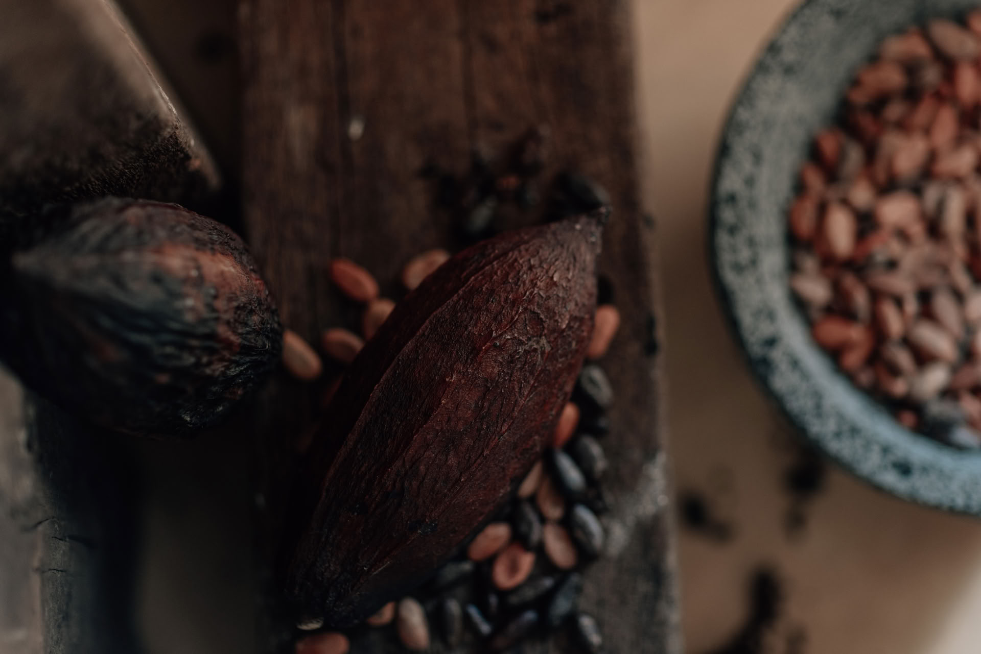 Retiro Culinario