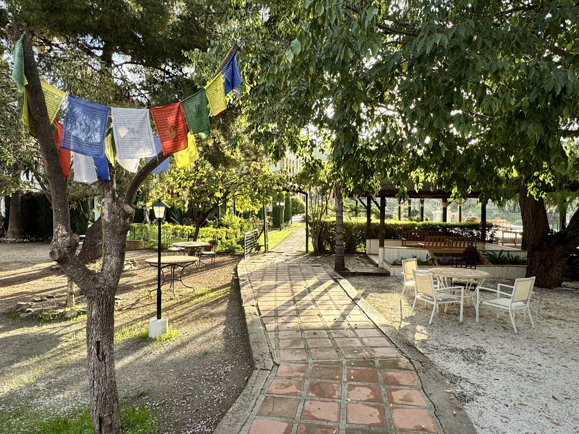 Spain Yoga Retiro - Improvers Level — Level 3 Iyengar Yoga Teacher Rachel Lovegrove
