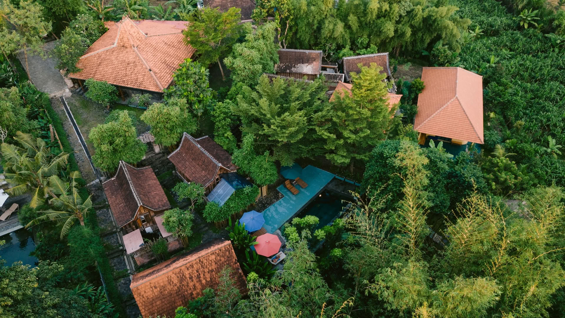 Retiro de Yoga Ashtanga en Bali