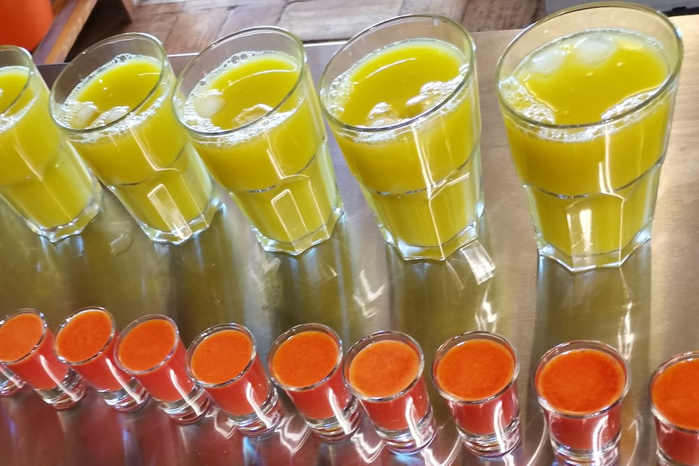 Juice Detox, Yoga & Wellness Retiro – 19 Sep 2026 - 29 Sep 2026