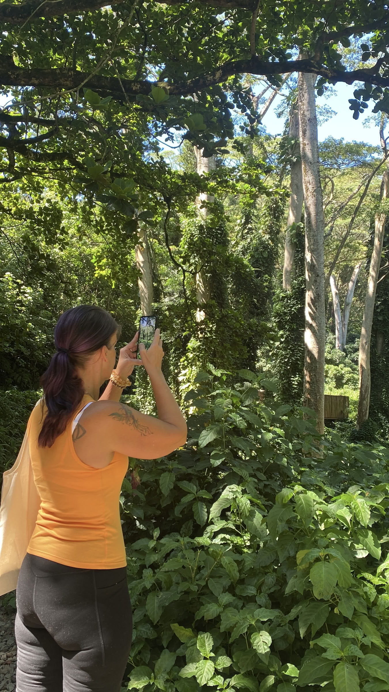 3 días Retiro privado de renovación del alma en Hawái
