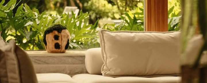a retiro familiar de rewilding
