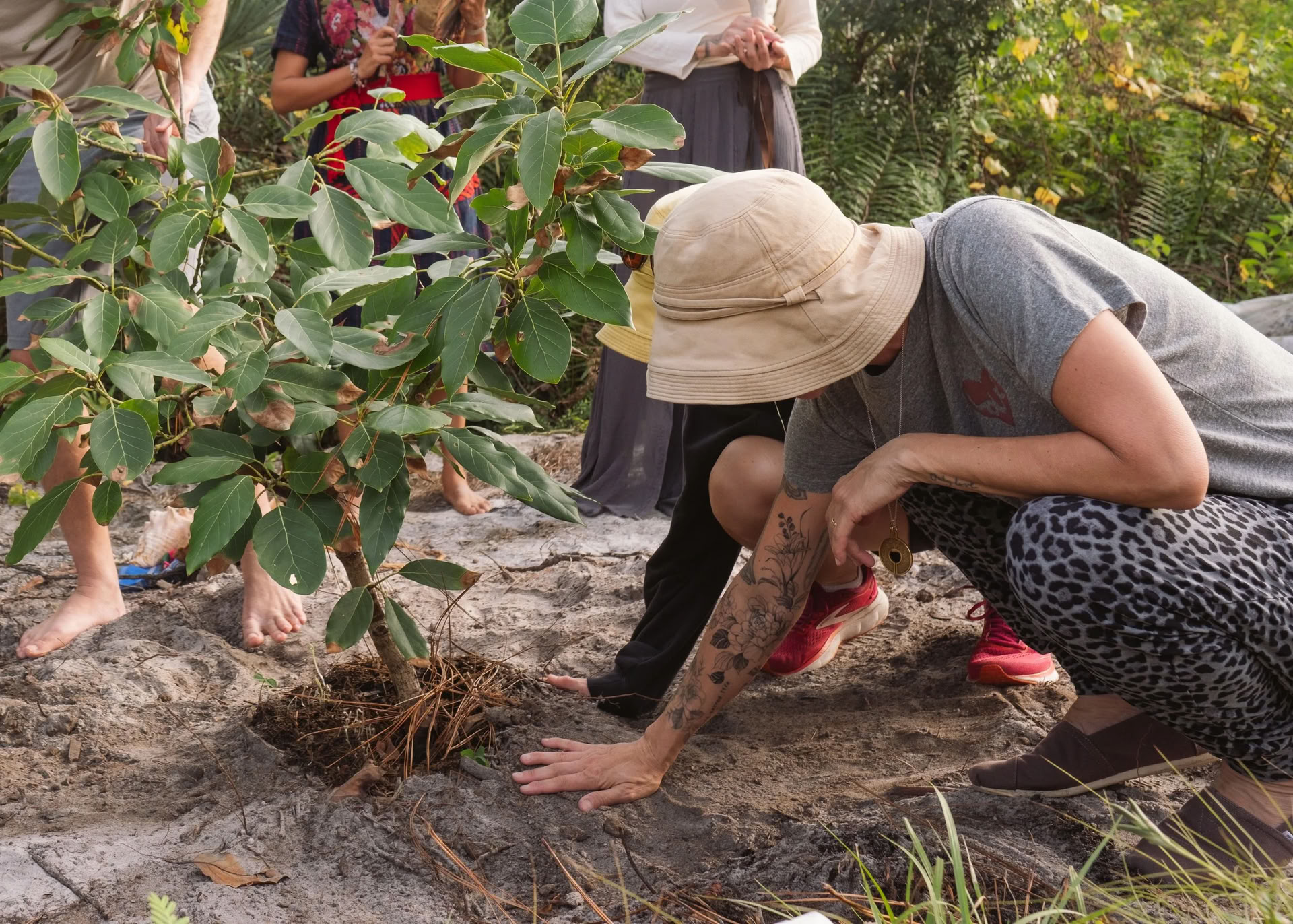 Día de Voluntariado