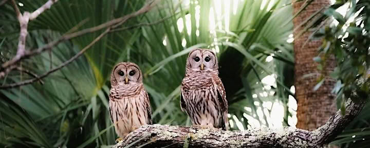 Tour Ecológico de la Naturaleza