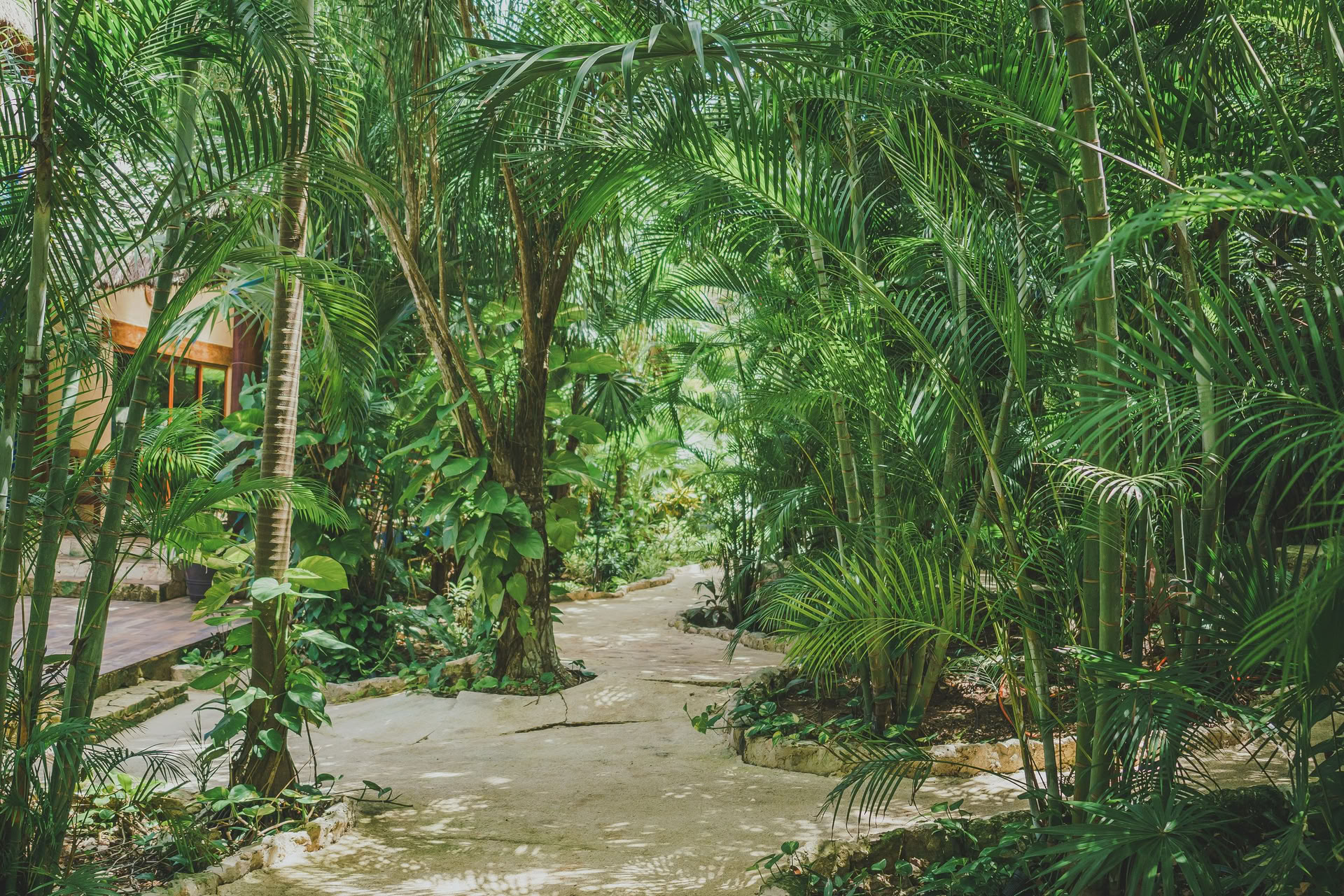 Seminario de Vacaciones para Parejas de Tantra Source